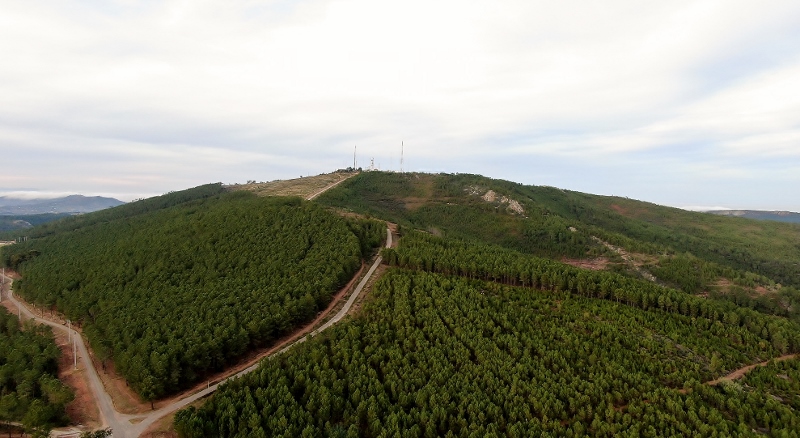 CT2GPZ  Jaime Pinheiro